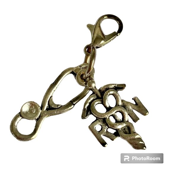 Medical Nursing RN Caduceus Stethoscope Clip On Charm Bracelet Zipper Pull - Picture 1 of 6
